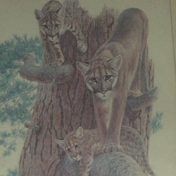 Vintage J Sharkey Thomas 1979 art print tiger and cubs in solid wooden frame - Picture 1 of 9